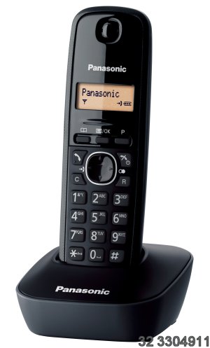  Panasonic KX-TG1611PDH 30 